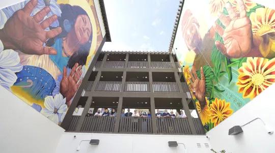 mural on building walls